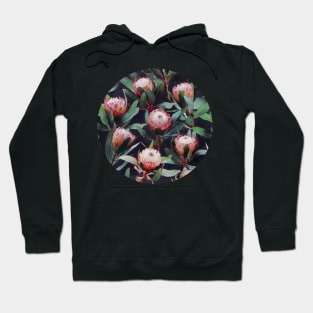 Evening Proteas - Pink on Charcoal Hoodie